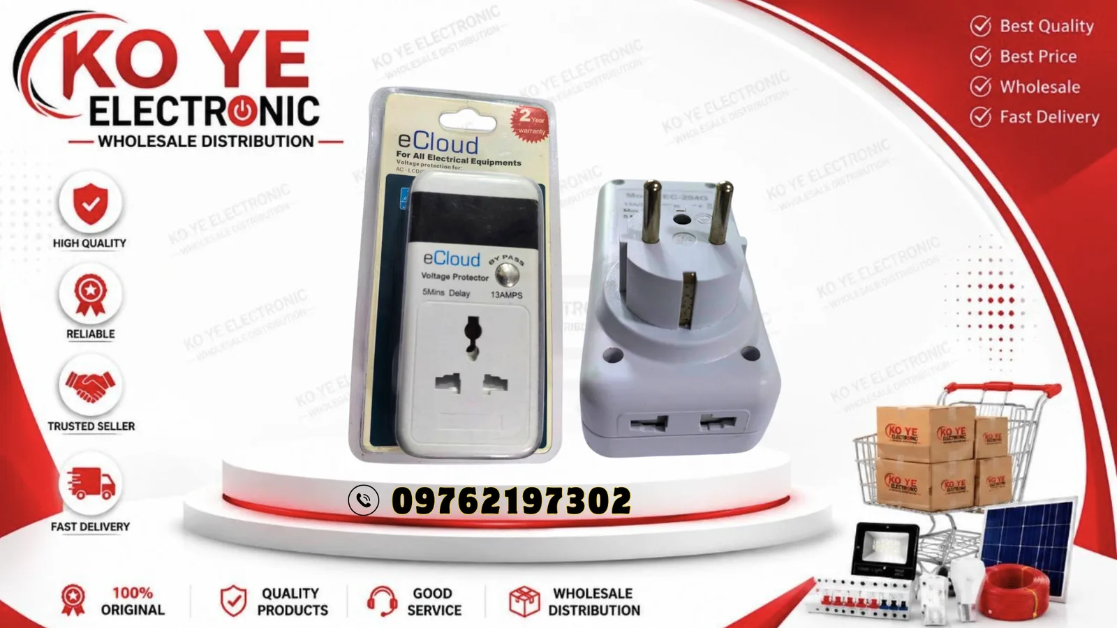 eCloud 13A 2-Pin Safeguard